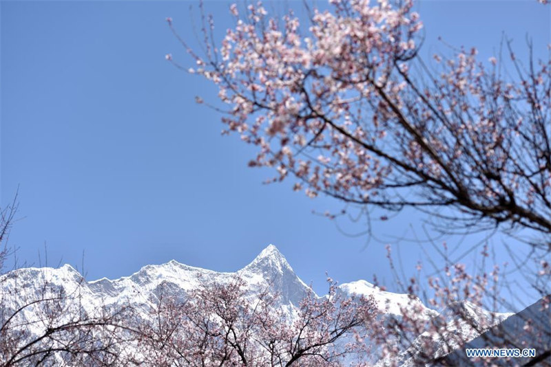 La vie quotidienne des gens à Nyingchi, au Tibet