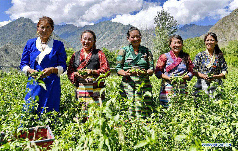 La vie quotidienne des gens à Nyingchi, au Tibet