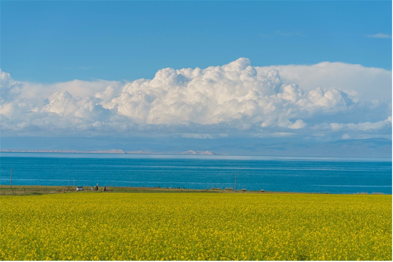 Admirez les paysages magnifiques le long du lac Qinghai