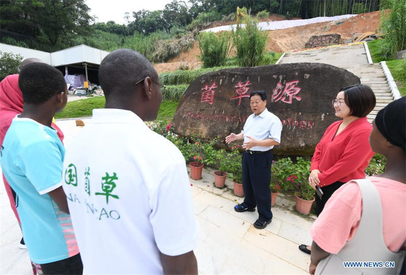 Enseignement de la technologie Juncao à des étudiants africains au Fujian