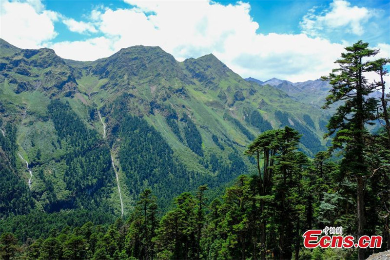 Les magnifiques paysages de fin d'été au Tibet