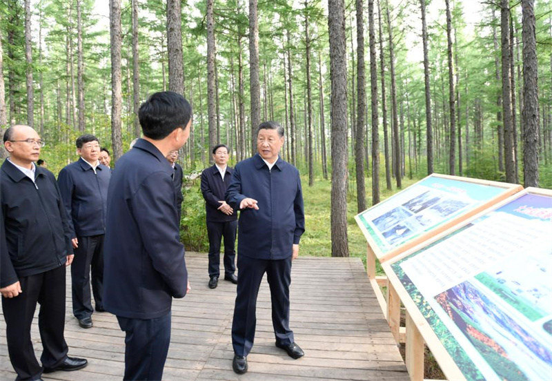 Xi Jinping en inspection dans une ferme forestière de la province du Hebei