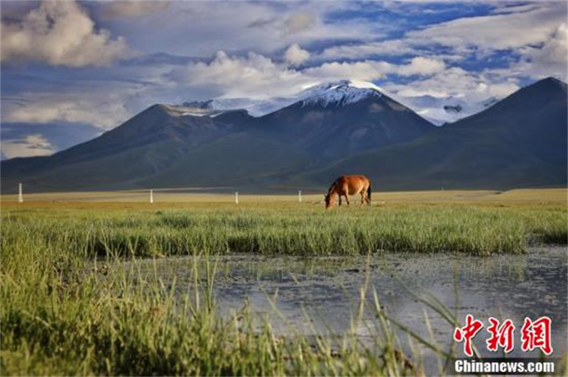 De beaux paysages de plateau créés par la protection écologique du Tibet