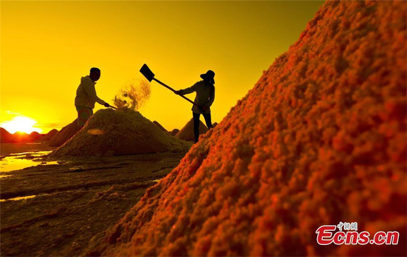 En photos : un aper?u des tas de sel dans le Gansu