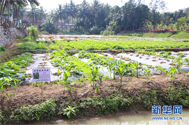 Hainan : Haosheng, un petit village de pêcheurs empreint d'éléments aérospatiaux