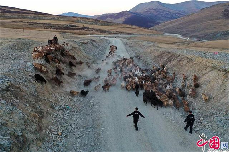 Xinjiang : la grande transhumance des bergers de l'Altay avec l'aide des policiers locaux