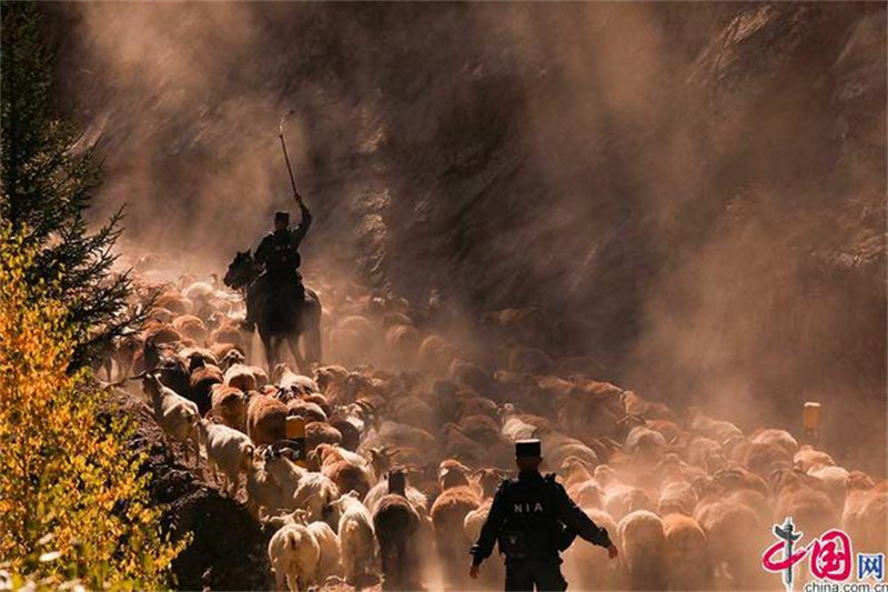 Xinjiang : la grande transhumance des bergers de l'Altay avec l'aide des policiers locaux