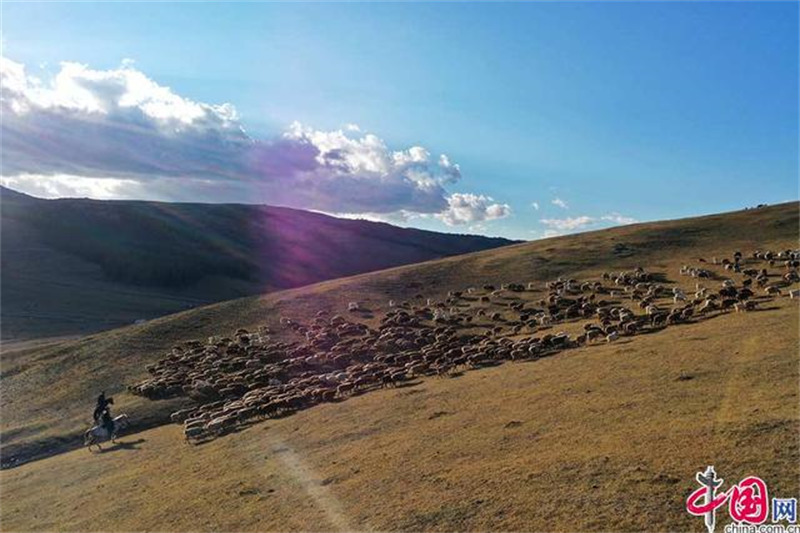 Xinjiang : la grande transhumance des bergers de l'Altay avec l'aide des policiers locaux