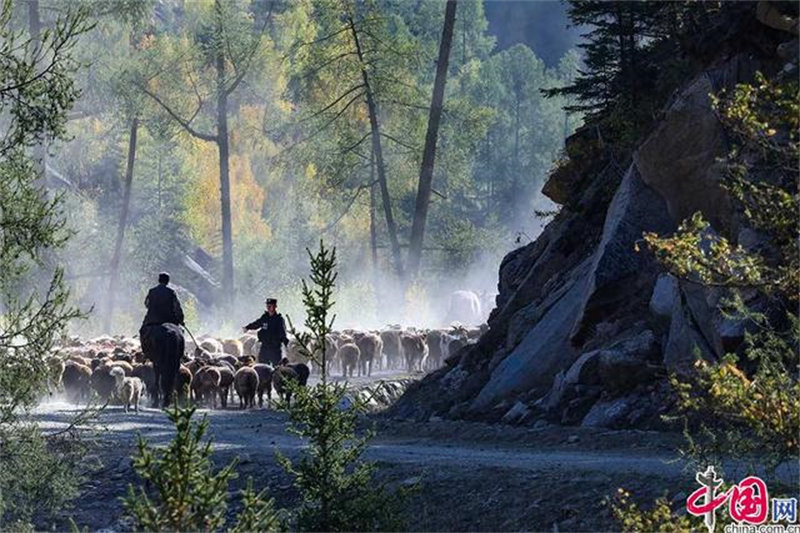 Xinjiang : la grande transhumance des bergers de l'Altay avec l'aide des policiers locaux