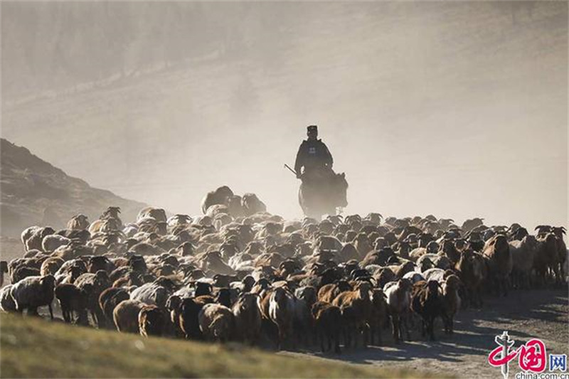 Xinjiang : la grande transhumance des bergers de l'Altay avec l'aide des policiers locaux