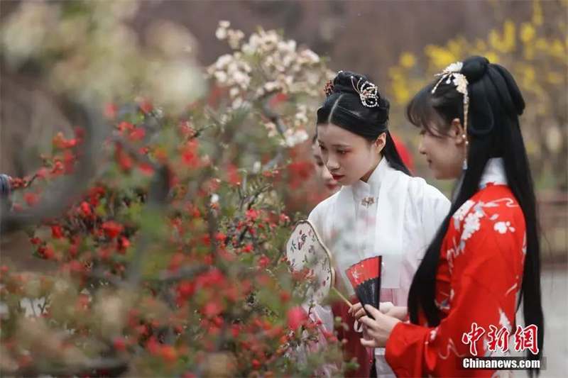 Le Hanfu revient en force chez les jeunes Chinois : quel est le charme de ce vêtement traditionnel aujourd'hui ? 