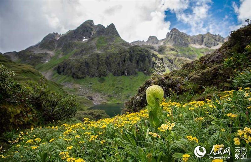 En visite aux lacs du plateau au comté de Weixi pour explorer les secrets du nord-ouest du Yunnan