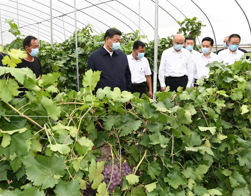 Xi Jinping inspecte le district de Suide dans le nord-ouest de la Chine