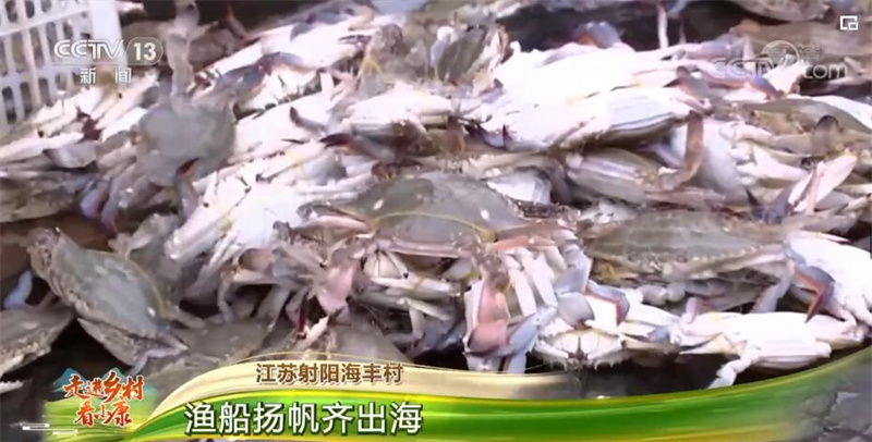 Les bateaux de pêche sous voile du village de Haifeng, dans le Jiangsu