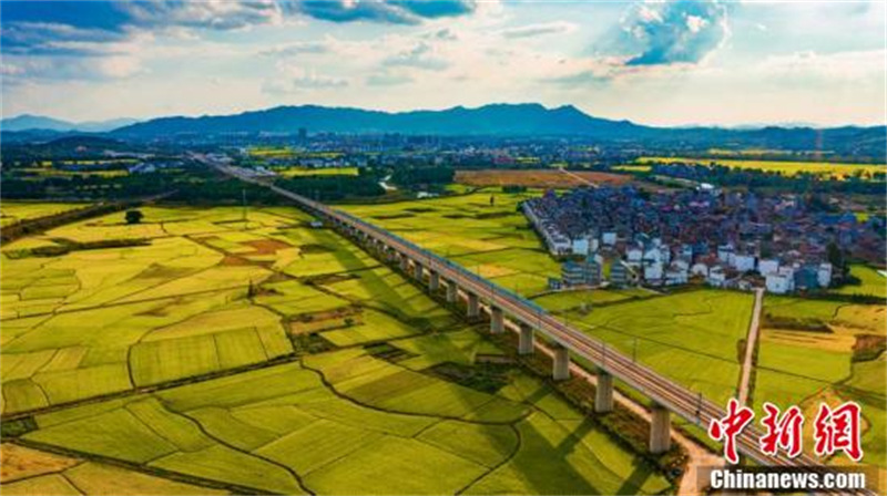 Photos aériennes de champs ruraux dans le Jiangxi, avec le passage de trains à grande vitesse