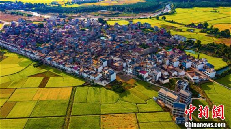 Photos aériennes de champs ruraux dans le Jiangxi, avec le passage de trains à grande vitesse