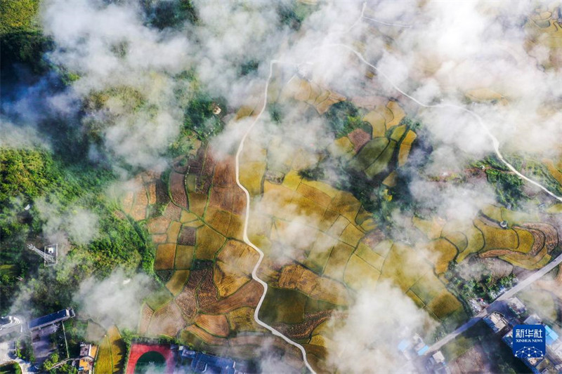 Guizhou : les beaux paysages dans les champs de la préfecture autonome Buyei et Miao de Qiannan