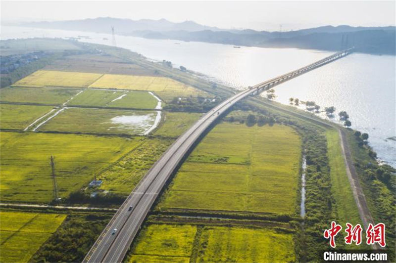 Le long des autoroutes chinoises : l'autoroute Jiujiang-Jingdezhen traverse des rizières dorées