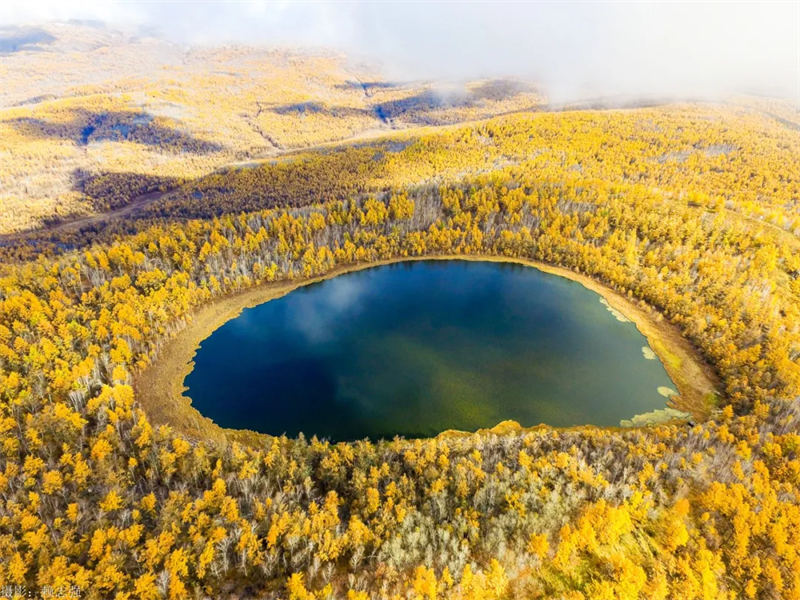 Les paysages automnaux d'Arxan sont comme un monde de contes de fées