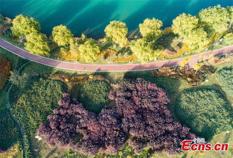 Paysages d'automne du site touristique de Lushuiwan à Zhangye, dans le Gansu