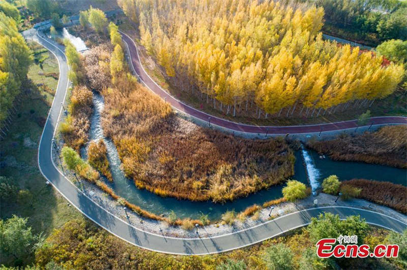 Paysages d'automne du site touristique de Lushuiwan à Zhangye, dans le Gansu