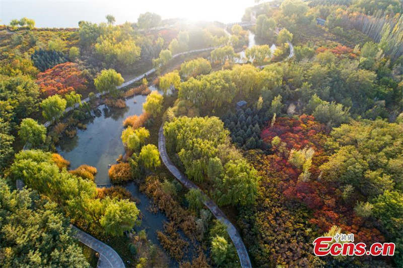 Paysages d'automne du site touristique de Lushuiwan à Zhangye, dans le Gansu