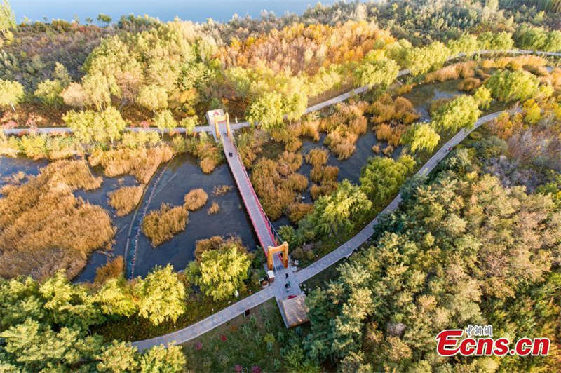 Paysages d'automne du site touristique de Lushuiwan à Zhangye, dans le Gansu