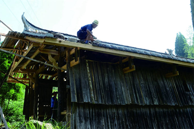 Technique du patrimoine culturel immatériel dans le Fujian : le pont en arc en bois sans clous ni rivets qui tient depuis un siècle