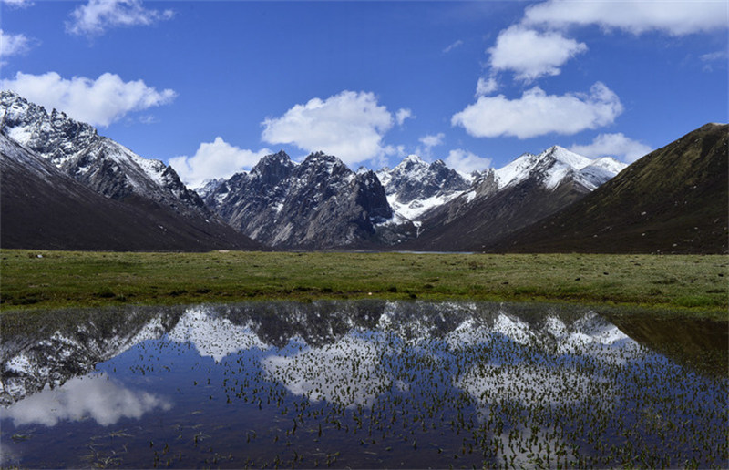 Cinq parcs nationaux vont servir de ? salles de classe ? pour la conservation de la nature en Chine