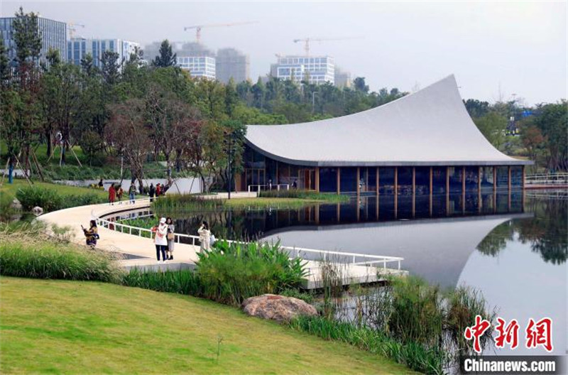 Une librairie sous-marine unique à Chengdu