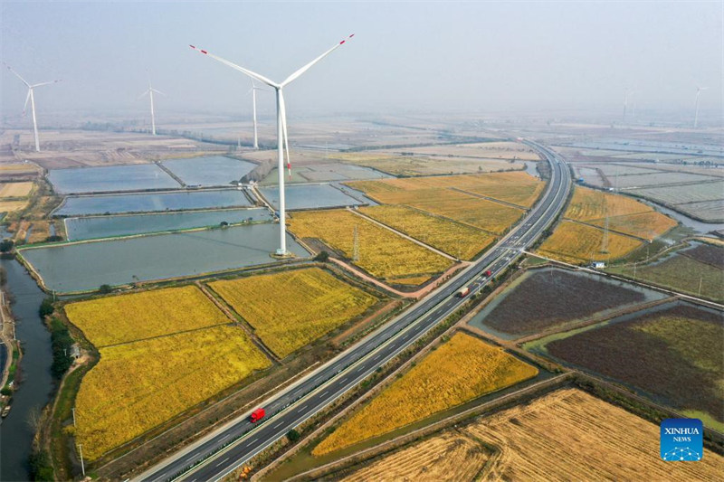 Le Jiangsu stimule le développement vert en promouvant l'énergie solaire et éolienne