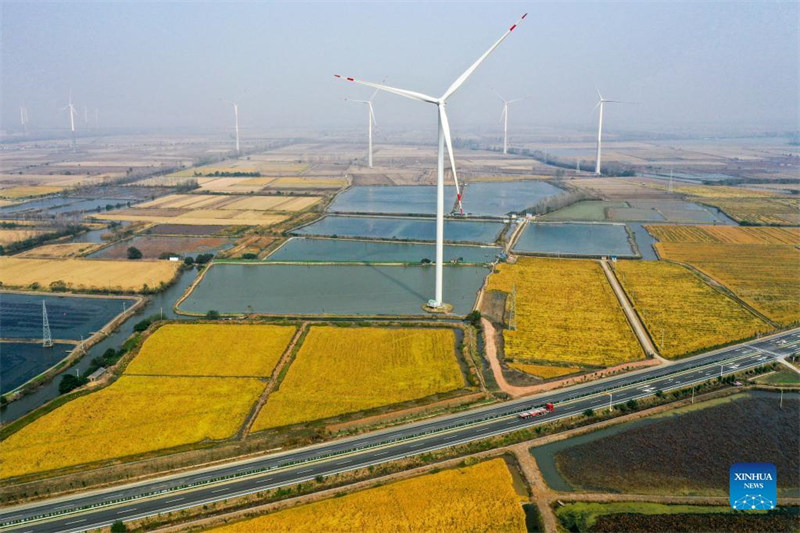 Le Jiangsu stimule le développement vert en promouvant l'énergie solaire et éolienne