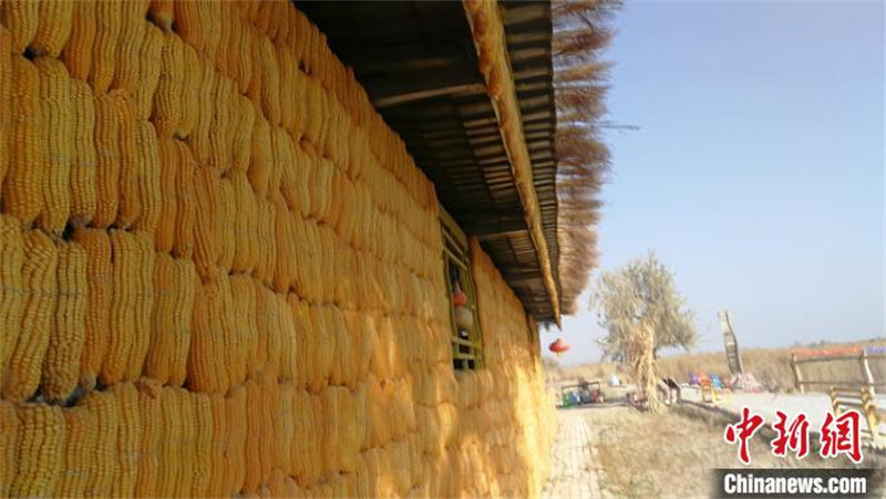 Xinjiang : 50 tonnes de ma?s pour construire une maison