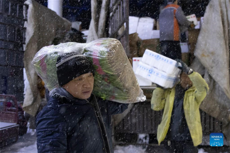 Chine : des vagues de blizzard frappent le Heilongjiang