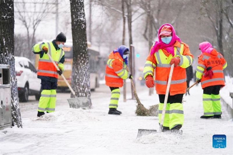 Chine : des vagues de blizzard frappent le Heilongjiang