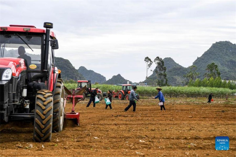 Les agriculteurs se préparent pour la saison de plantation d'hiver dans le sud de la Chine