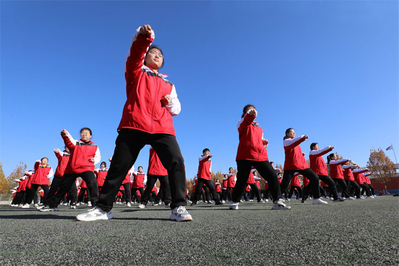 La transmission nationale du ta?-chi dans des écoles du Henan