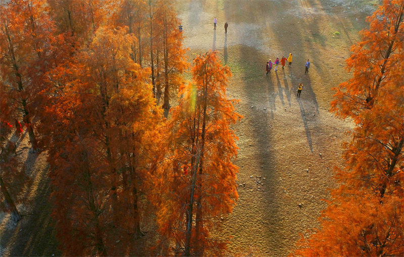 Anhui : le magnifique paysage du lac Qishu attire les touristes