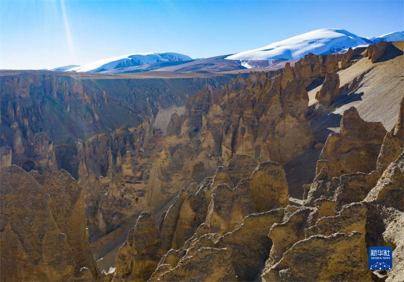 La Gorge de Qilin, une forêt de terre magique au Tibet