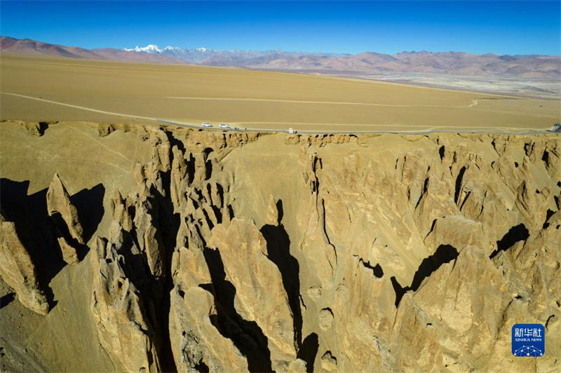 La Gorge de Qilin, une forêt de terre magique au Tibet