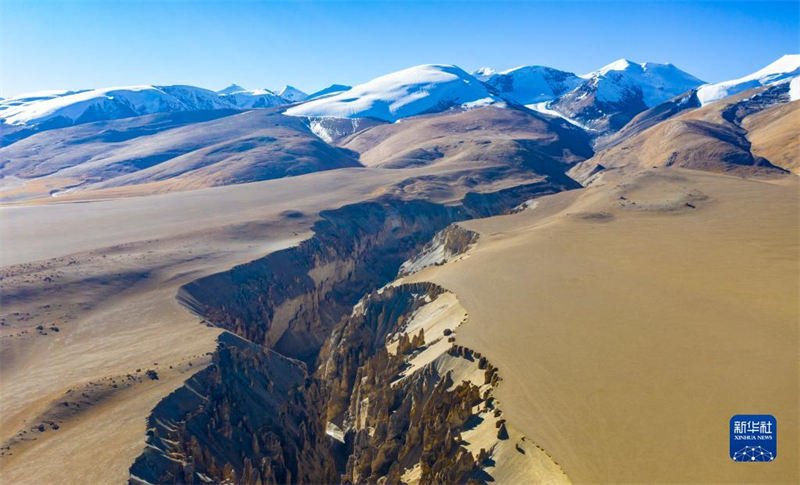 La Gorge de Qilin, une forêt de terre magique au Tibet