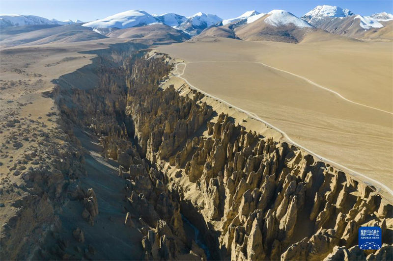 La Gorge de Qilin, une forêt de terre magique au Tibet