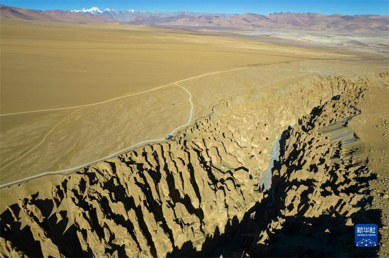 La Gorge de Qilin, une forêt de terre magique au Tibet