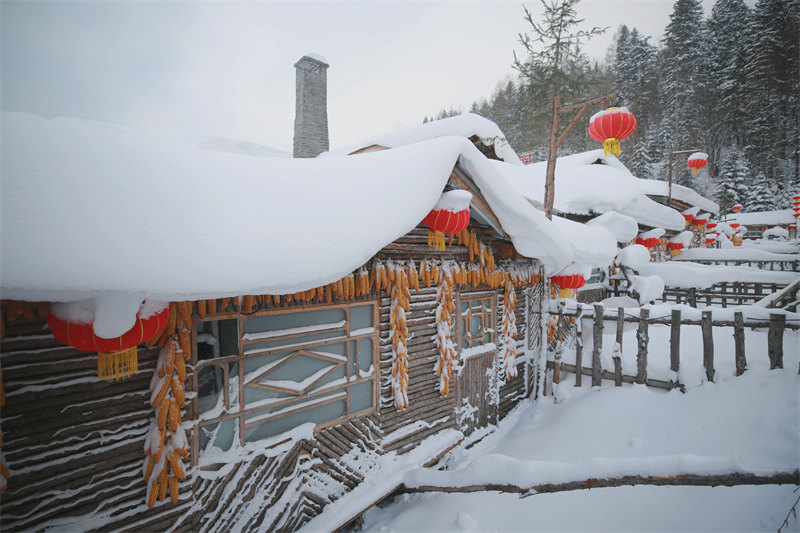 Heilongjiang : la beauté du pays de la neige