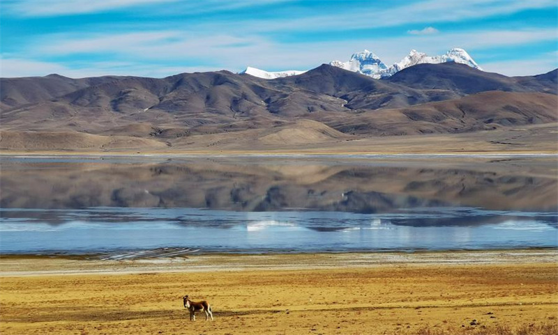 Chine : le lac Zhegu au Tibet