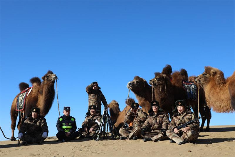 Un peloton civil patrouille la région frontalière de Mongolie intérieure à dos de chameau