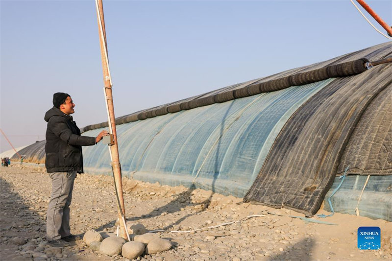 Xinjiang : un parc industriel agricole aide les villageois locaux à augmenter leurs revenus 