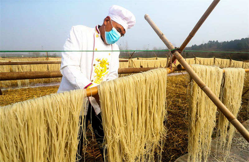 Henan : les vermicelles enrichissent les familles d'agriculteurs