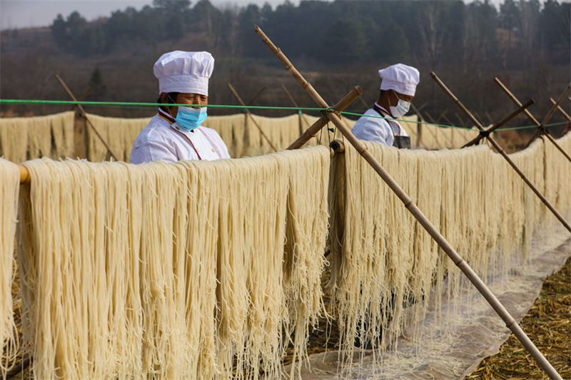 Henan : les vermicelles enrichissent les familles d'agriculteurs