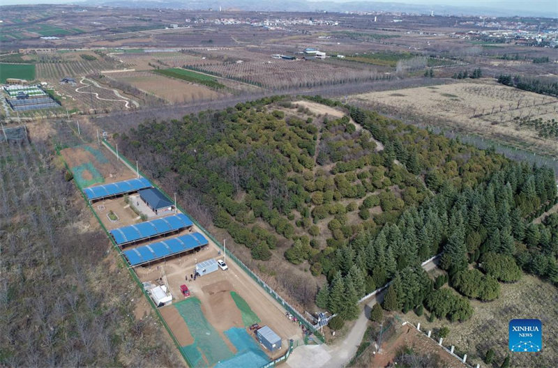 Le mausolée d'un empereur de la dynastie Han découvert dans la province du Shaanxi